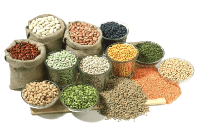 Máy Phân Loại Nông Sản – Hiện Đại Hóa Quy Trình Sản Xuất Nông Nghiệp