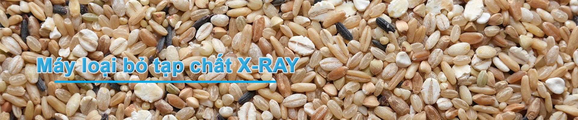 Máy loại bỏ tạp chất X-RAY