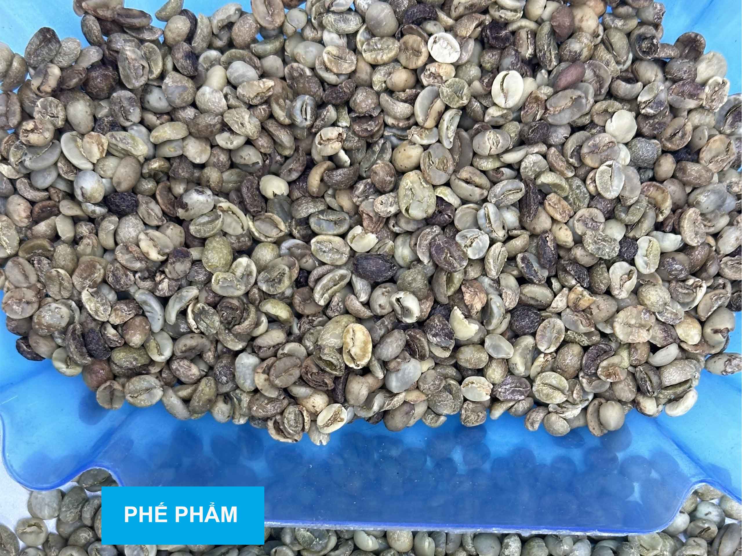 Hình ảnh phế phẩm cà phê sau khi tách
