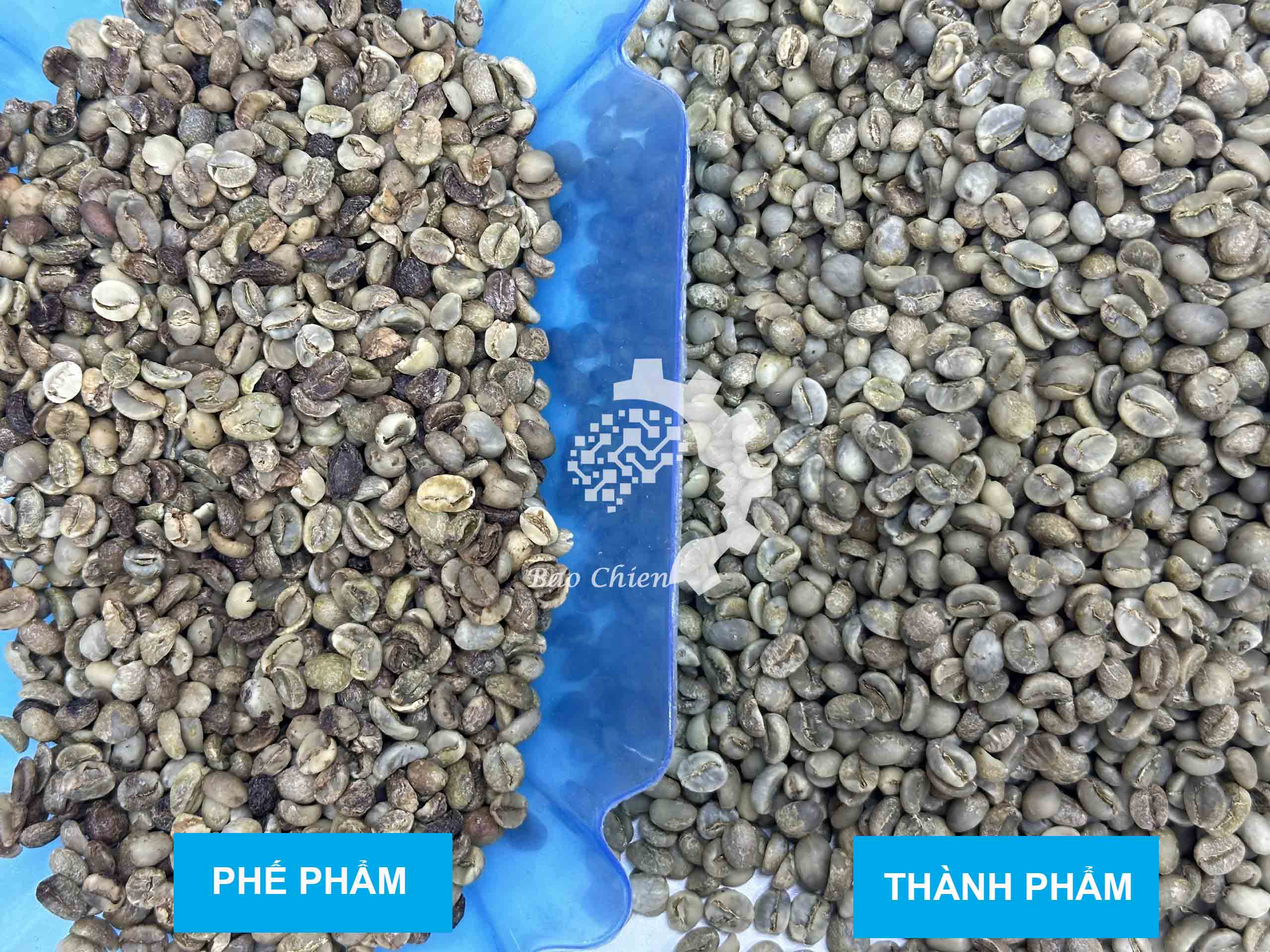 TEST LIỆU CÀ PHÊ