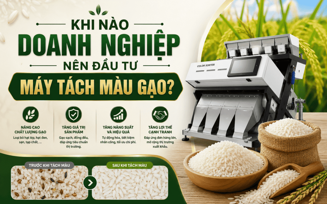 Khi nào doanh nghiệp nên đầu tư máy tách màu gạo?