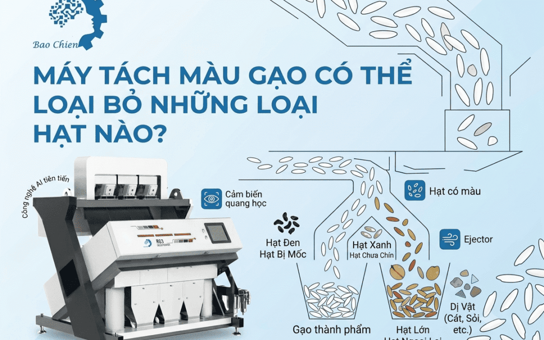 Máy tách màu gạo có thể loại bỏ những loại hạt nào?