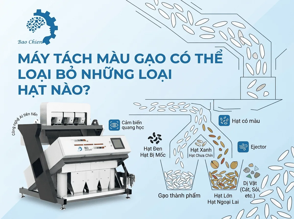 Máy tách màu gạo loại bỏ những hạt nào (1)