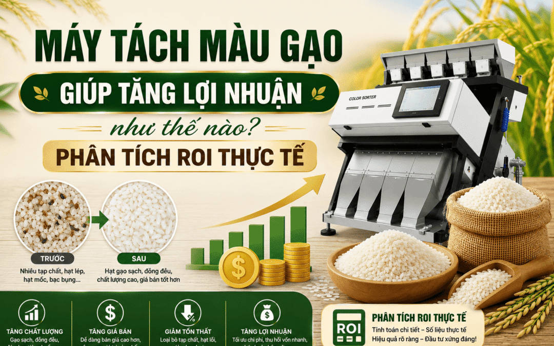 Máy tách màu gạo giúp tăng lợi nhuận như thế nào? Phân tích ROI thực tế