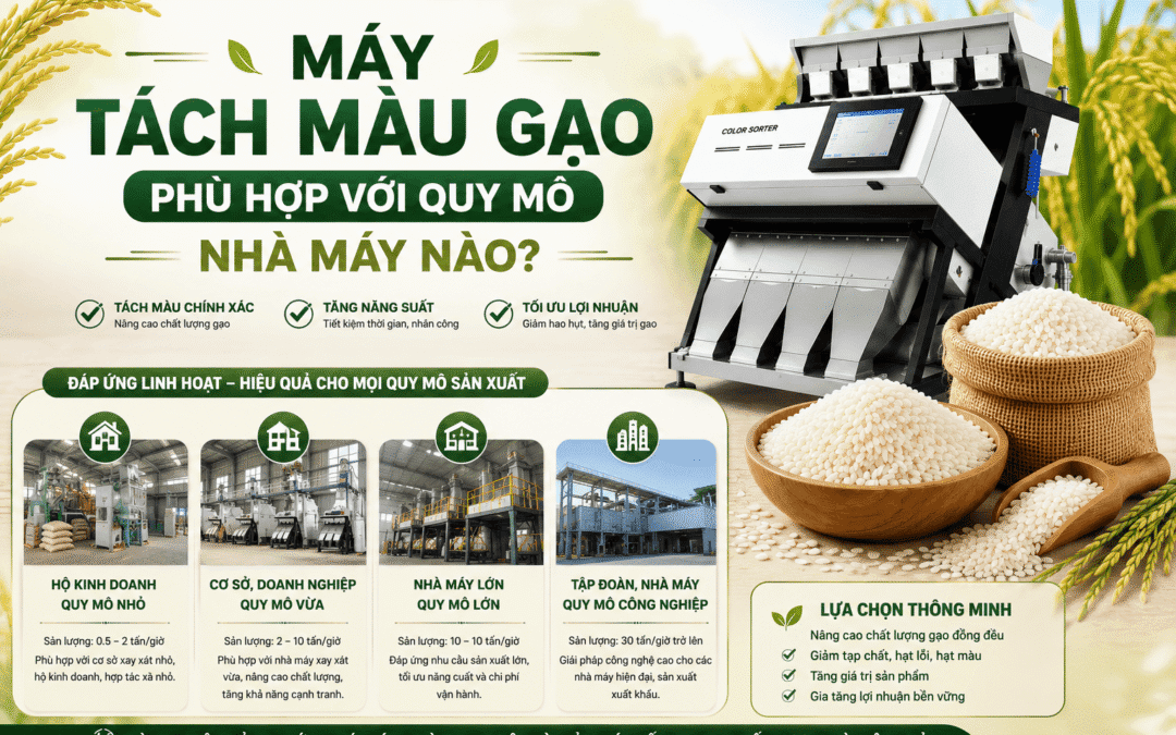 Máy tách màu gạo phù hợp với quy mô nhà máy nào?